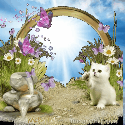 Fotomontajes animados con gatos y flores - Fotomontajes Gratis |  Fotomontajes Gratis - Como hacer fotomontajes gratis